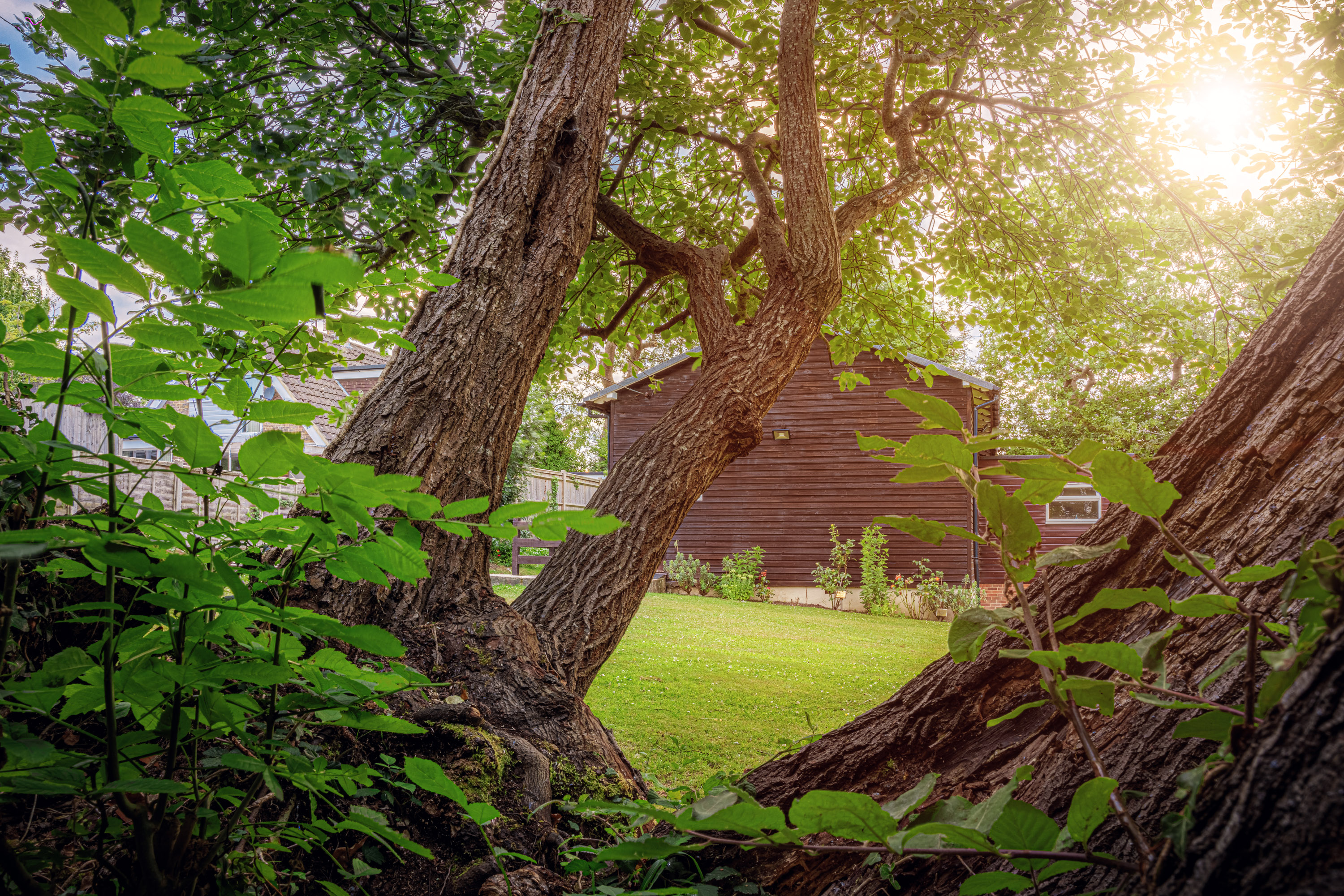 School Hall Through the Trees