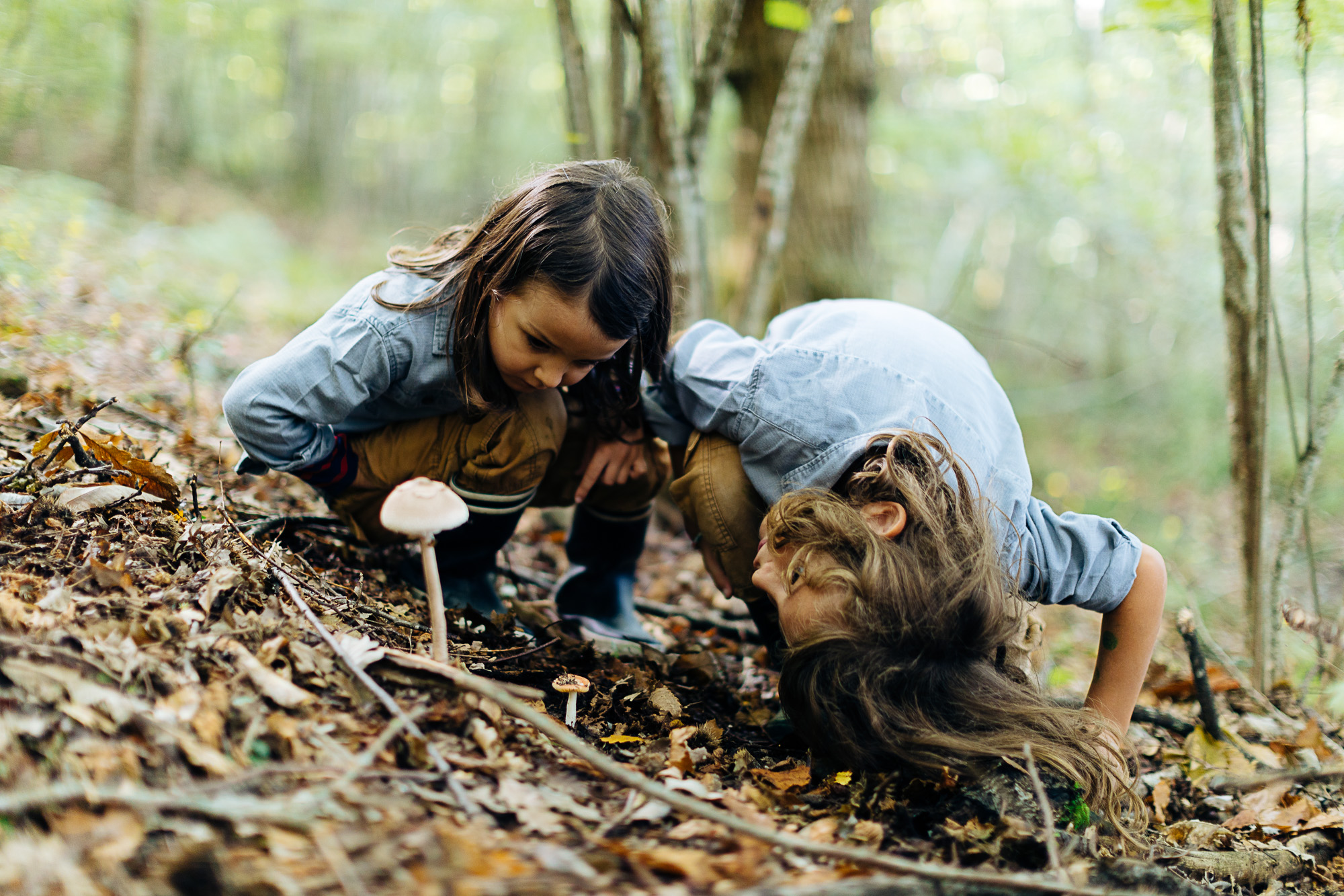 Children studying a mushroom in a forest